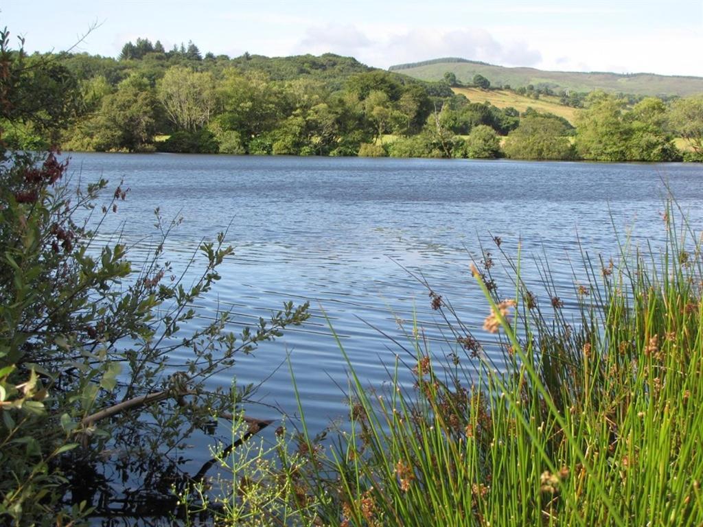 Lake House Dunmanway Exterior photo