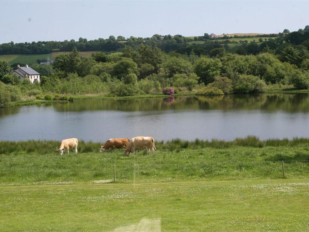 Lake House Dunmanway Exterior photo